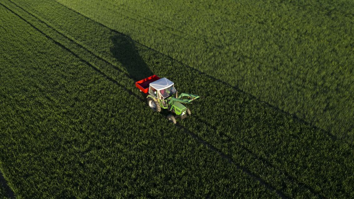 Syngenta