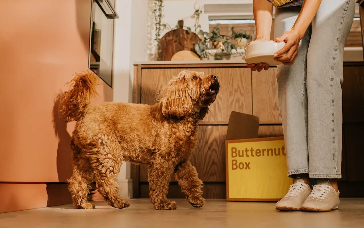 Butternut Box